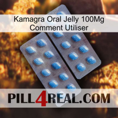 Kamagra Oral Jelly 100Mg How To Use viagra4